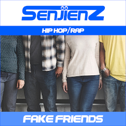 Fake Friends Cover